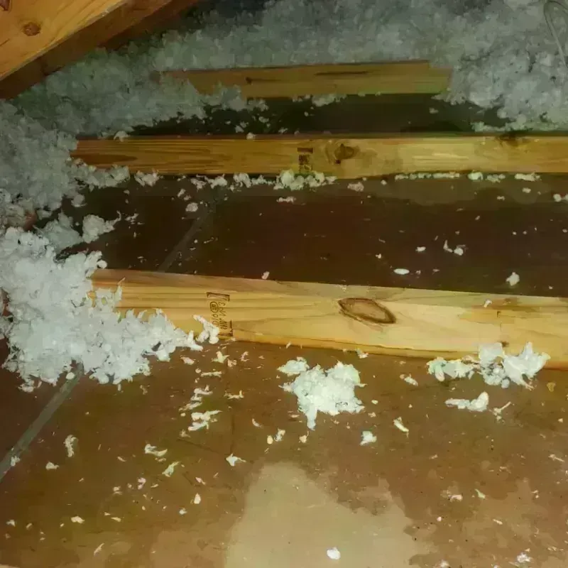 Attic Water Damage in Natick, MA